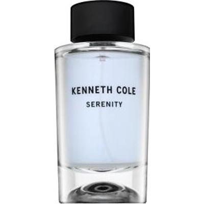 Kenneth Cole Serenity woda toaletowa dla mężczyzn 100 ml