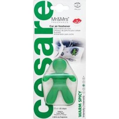 Mr&Mrs Fragrance Cesare Car Air Freshener Warm Spicy