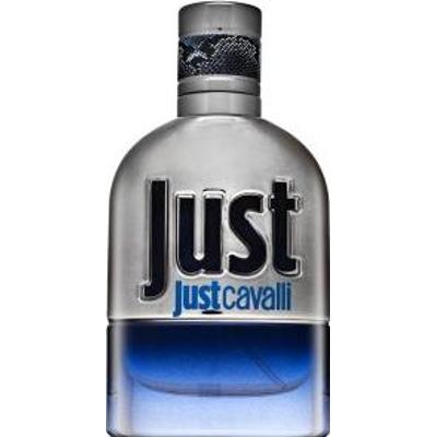 Roberto Cavalli Just Cavalli Him 2013 woda toaletowa dla mężczyzn 30 ml