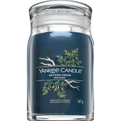 Yankee Candle Bayside Cedar