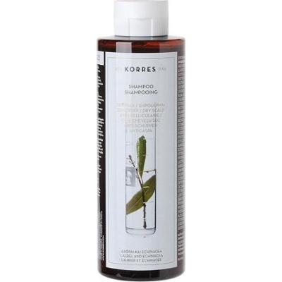 Szampon przeciwłupieżowy z wyciągiem z liścia laurowego i echinacei