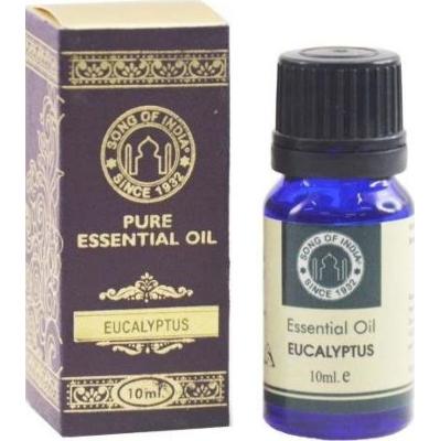 Olejek eteryczny Song of India – Eucalyptus