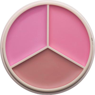 Anastasia Beverly Hills Magic Touch Blush Trio Pink