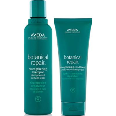 AVEDA Botanical Repair Package