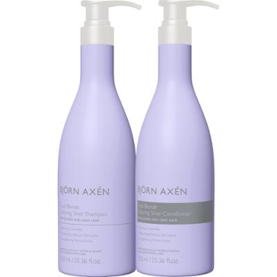 Björn Axén Cool Blonde Coloring Silver