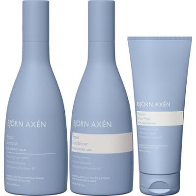 Björn Axén Repair Trio
