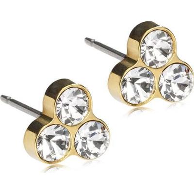 Blomdahl Golden Titanium Clover 8 mm Crystal