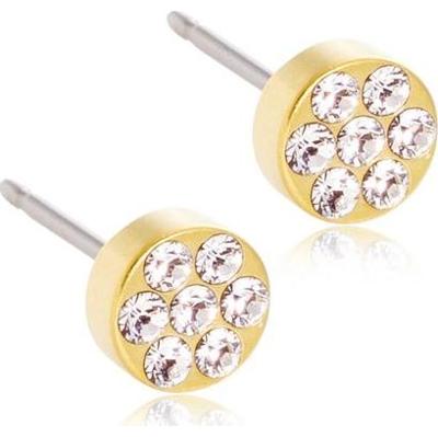 Blomdahl Golden Titanium Brilliance Plenary 5mm Crystal
