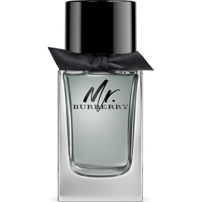 Burberry Mr Burberry EdT 100 ml