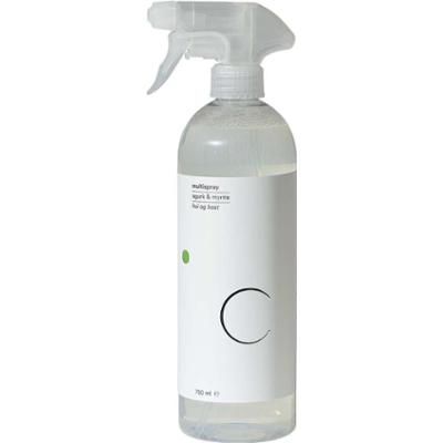 Csoaps Multispray Agurk & Mynte 750 ml
