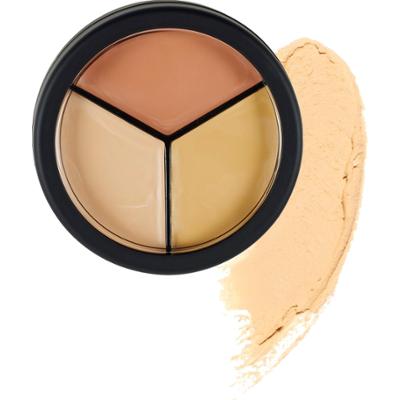 EMITÉ MAKE UP Correct & Conceal 9 g