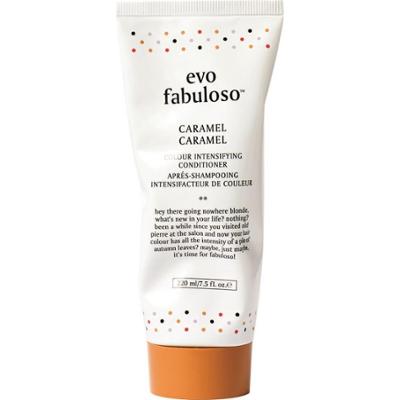 Evo Fabuloso Colour Intensifying Conditioner Caramel