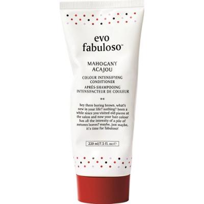 Evo Fabuloso Colour Intensifying Conditioner Mahogany