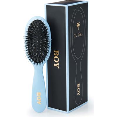 Fan Palm Small Boy Brush