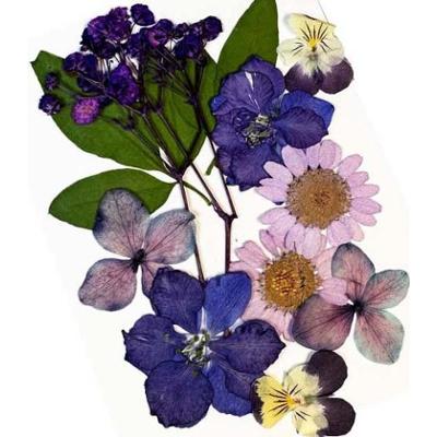 Glitternisti Face Flowers Purple & Greens