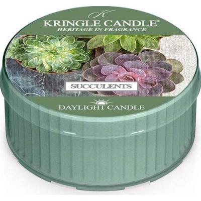 Kringle Candle Daylight Succulents - świeczka zapachowa 42 g
