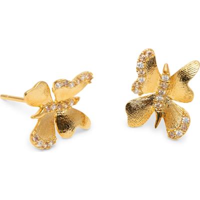 Lily and Rose Brigitte Earrings Champagne mist