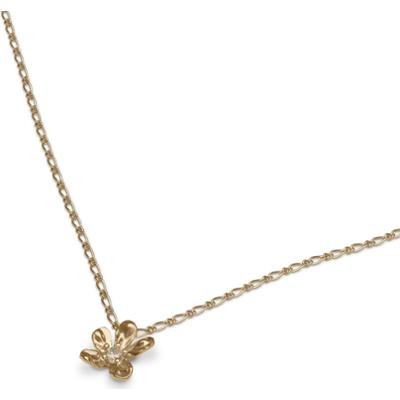 Lily and Rose Petite Eponine Necklace Gold