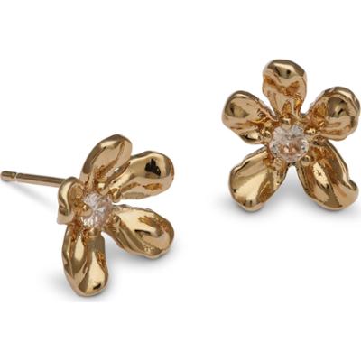 Lily and Rose Petite Eponine Stud Earrings Gold