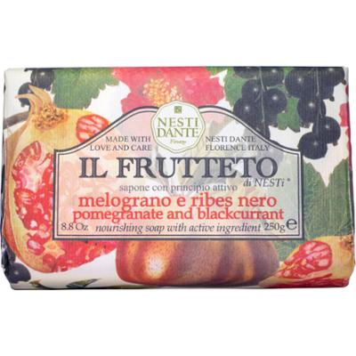 Nesti Dante Il Frutteto Pomegranate and Blackcurrant 250 g
