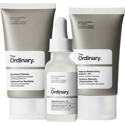 The Ordinary The Daily Set