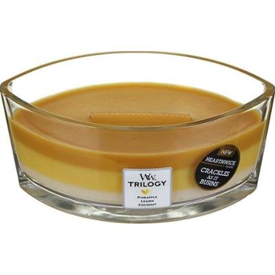WoodWick Fruits of Summer Trilogy Ellipse Ellipse