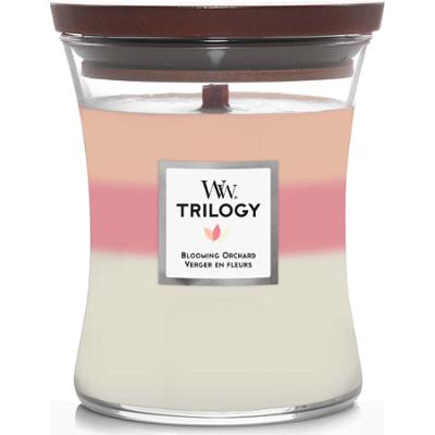 WoodWick Blooming Orchard Trilogy Hourglass Medium