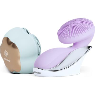 Arum Violet + Hoya Ocean