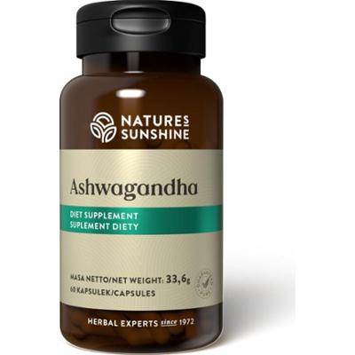 Ashwagandha - Jasny Umysł i Dobre Samopoczucie