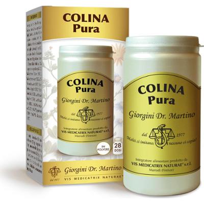 Dr Giorgini czysta cholina rozpuszczalna w proszku 100 g