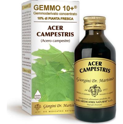 Dr Giorgini gemmo 10+ klon polny 100 ml płynu bezalkoholowego