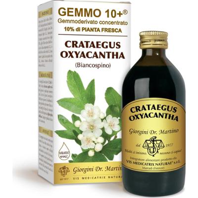 Dr Giorgini gemmo 10+ głóg 200 ml płynu bezalkoholowego