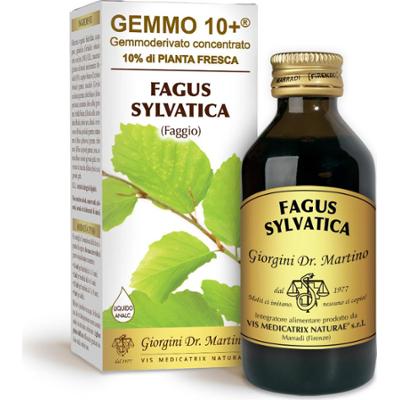 Dr Giorgini gemmo 10+ buk 100 ml płyn bezalkoholowy