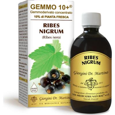Dr Giorgini gemmo 10+ czarnych porzeczek 500 ml płynu bezalkoholowego