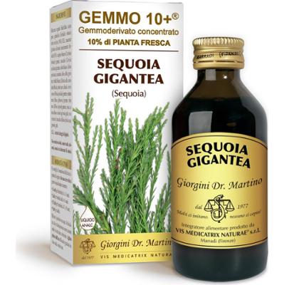 Dr Giorgini gemmo 10+ sekwoja 100 ml płynu bezalkoholowego