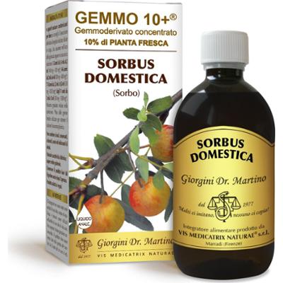 Dr Giorgini gemmo 10+ jarzębiny 500 ml płynu bezalkoholowego