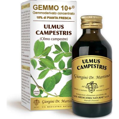 Dr Giorgini gemmo Wiąz wiejski 10+ 100 ml płyn bezalkoholowy