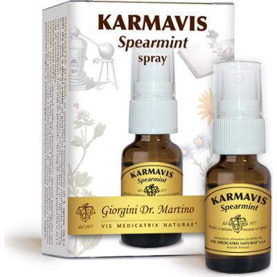 Dr Giorgini karmavis spray miętowy 15 ml