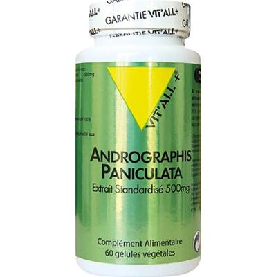 Vit'All+ Andrographis Paniculate 400 mg 60 tabletek