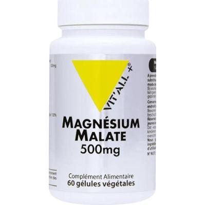 Vit'All+ Jabłczan Magnezu 500mg 60 kapsułek