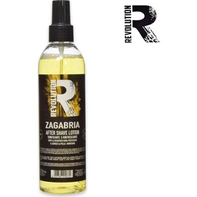 Revolution woda po goleniu om 250 ml zagrzeb