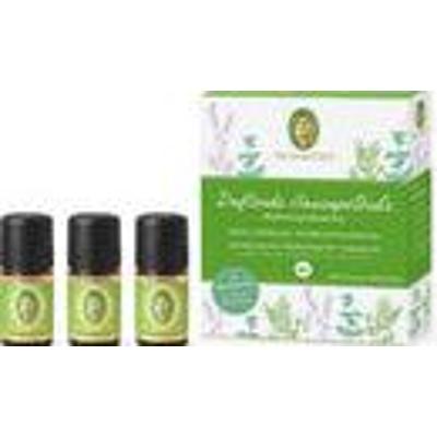 Apteczka Primavera Aromatic 3 x 5 ml