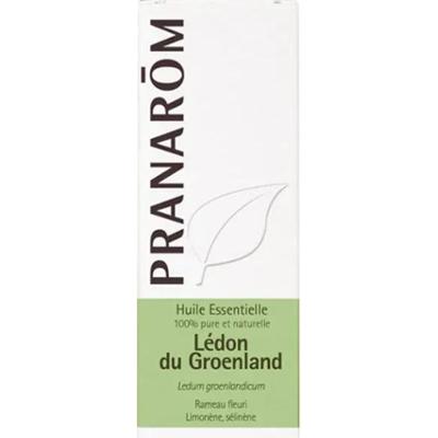 Pranarôm Olejki Eteryczne Olejek Eteryczny Ledone Grenlandzkie 5ml