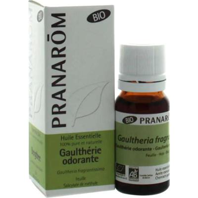Pranarôm Olejki eteryczne Organiczny olejek eteryczny pachnący Gaultherie 10ml