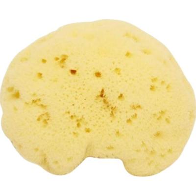 Cose della natura Gąbka Naturale Fine Whitened Lady 6-8 g (6 g)