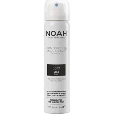 Noah Korektor w sprayu kolorowy czarny 75ml