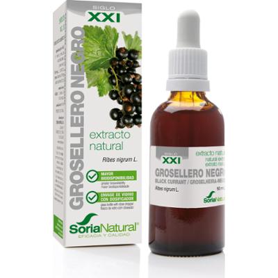 Ekstrakt czarnej porzeczki Soria S xxi 50 ml