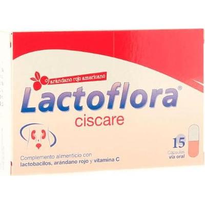 Lactoflora Ciscare Z Żurawiną Amerykańską 15 Kapsułek