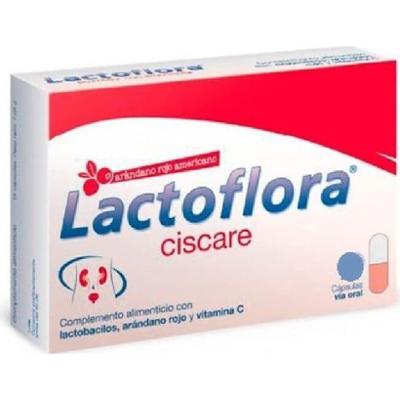 Lactoflora Ciscare 30 kapsułek