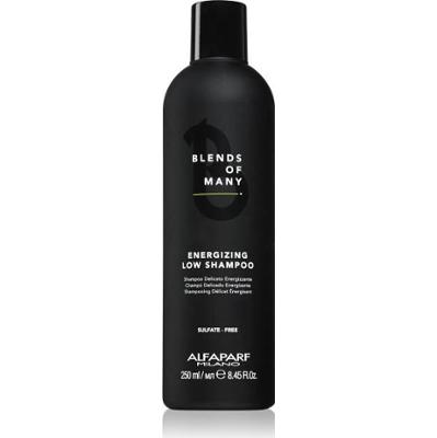 Apm Blends Of Many Energ.Low Shampoo - Pojemność: 250 ml